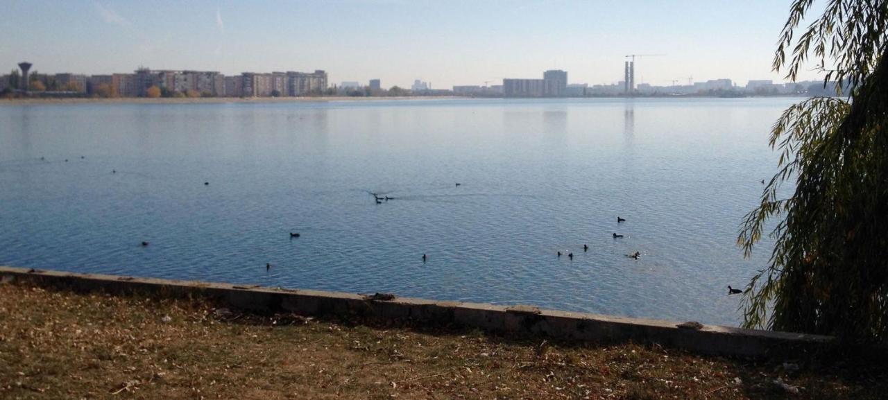 Luxury Westpark 2 Residence With Lake View Bukarest Exteriör bild